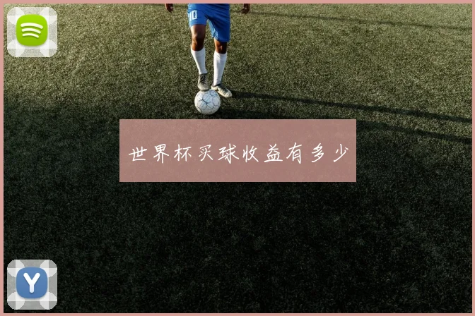 世界杯买球收益有多少