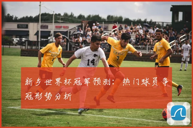 新乡世界杯冠军预测：热门球员争冠形势分析