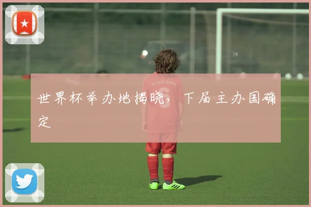 世界杯举办地揭晓，下届主办国确定