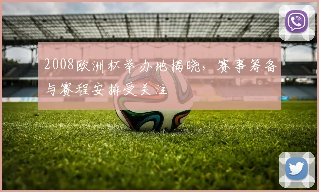 2008欧洲杯举办地揭晓,赛事筹备与赛程安排受关注